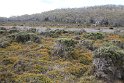 IMG_5008