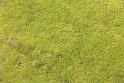 IMG_5009