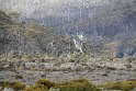 IMG_5011