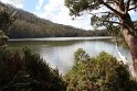 IMG_5016
