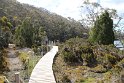 IMG_5019
