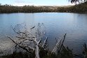 IMG_5022