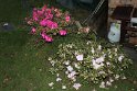IMG_1516
