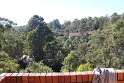 IMG_3946