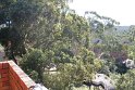 IMG_3947