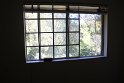 IMG_3950
