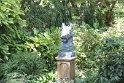 IMG_6990