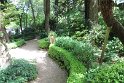 IMG_6992