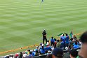 IMG_0610