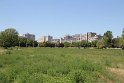 IMG_6687