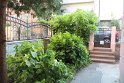 IMG_6726