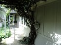 DSC00520