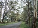 DSC00521
