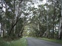 DSC00523