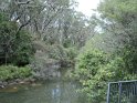 DSC00527