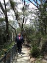 DSC00532