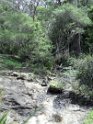 DSC00541