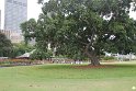 IMG_6912