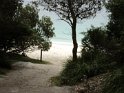 DSC00314
