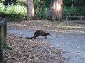 DSC00336
