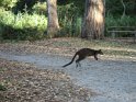DSC00337