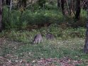 DSC00338