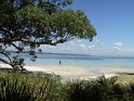 DSC00340