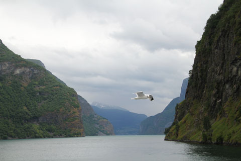 Norway In Nutshell
