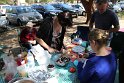 IMG_6743