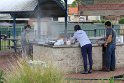 IMG_2227
