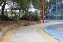 IMG_2247