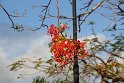 IMG_6769