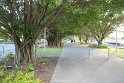 IMG_6781