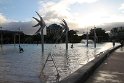 IMG_6784