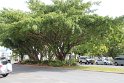 IMG_6793