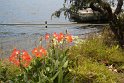 IMG_6816