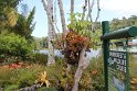 IMG_6818