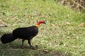 IMG_6821