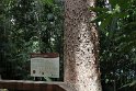 IMG_6823