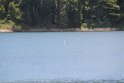 IMG_6831