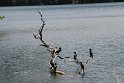 IMG_6838
