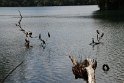 IMG_6843