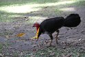 IMG_6844