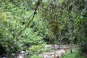 IMG_6861