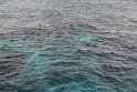 IMG_6882