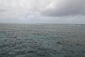 IMG_6887