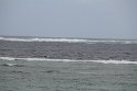IMG_6888