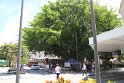 IMG_6895