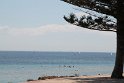 IMG_7026