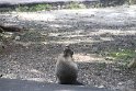 IMG_8910